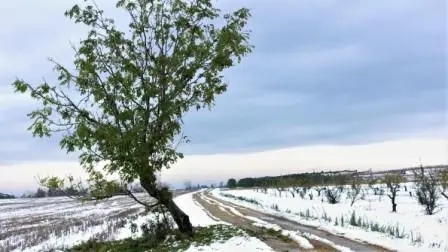 neige compressé neige compressé